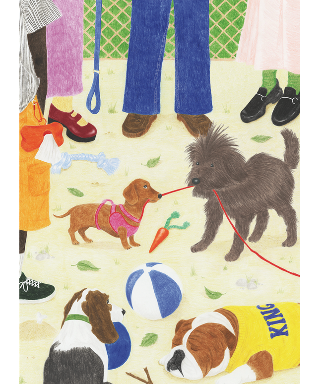 Take the Dog Out | Puslespill 1000 Brikker