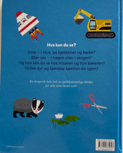 Bijsterbosch, Anita: Hva kan du se? Bildeordbok for de minste