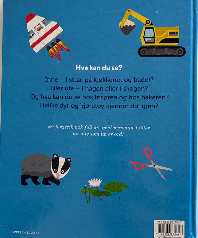Bijsterbosch, Anita: Hva kan du se? Bildeordbok for de minste