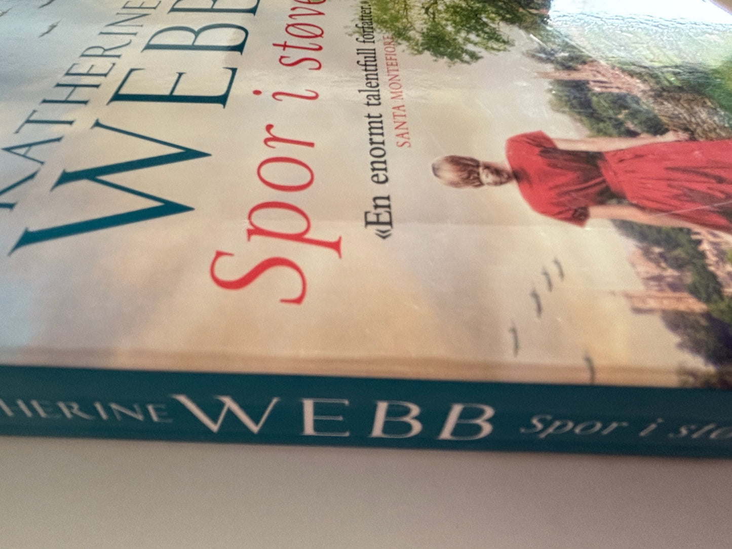 Webb, Katherine: Spor i støvet