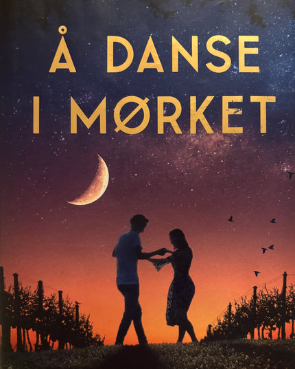 Holmstrøm, Helene: Å danse i mørket
