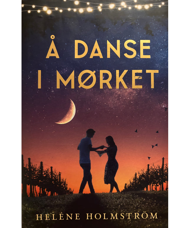Holmstrøm, Helene: Å danse i mørket