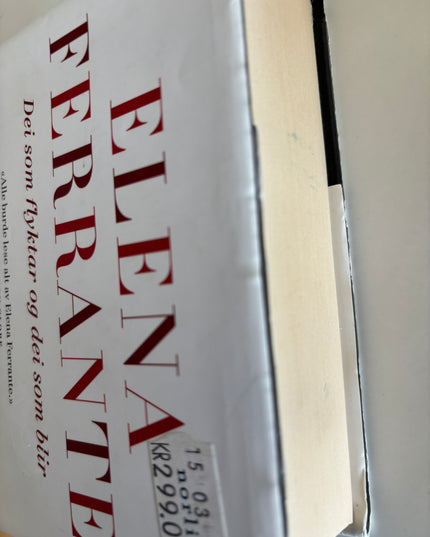Ferrante, Elena: Dei som flyktar og dei som blir
