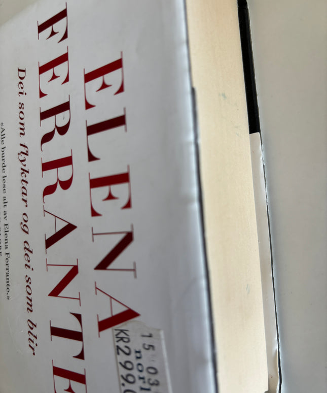 Ferrante, Elena: Dei som flyktar og dei som blir