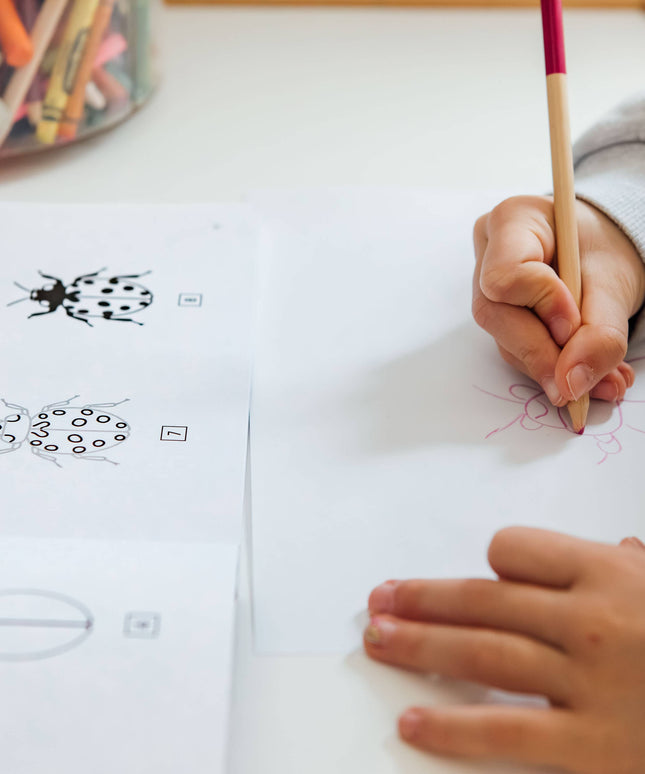 How to Draw Bugs for Kids | Lær å Tegne Bok for Barn