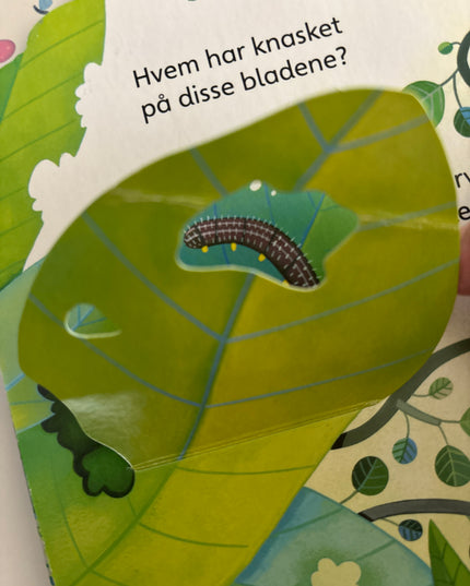 Titt inn i dyreparken
