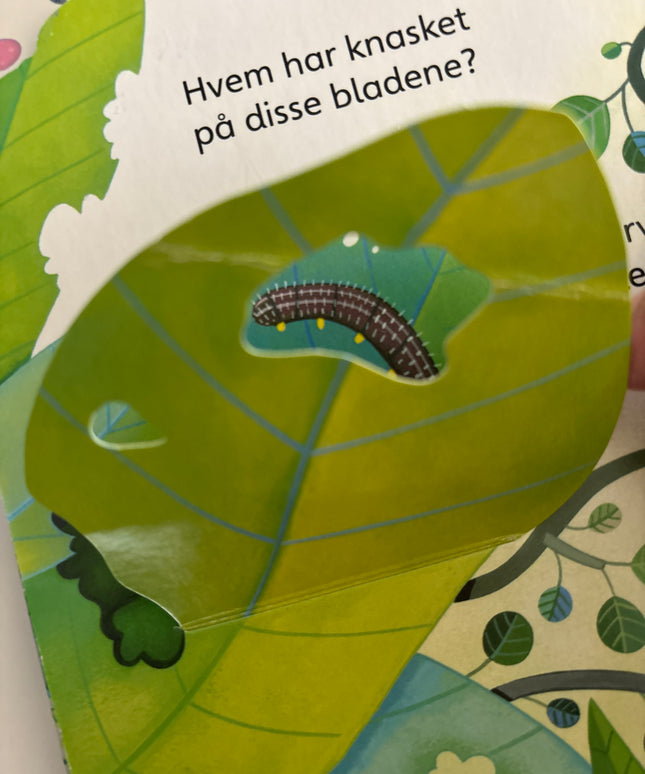 Titt inn i dyreparken