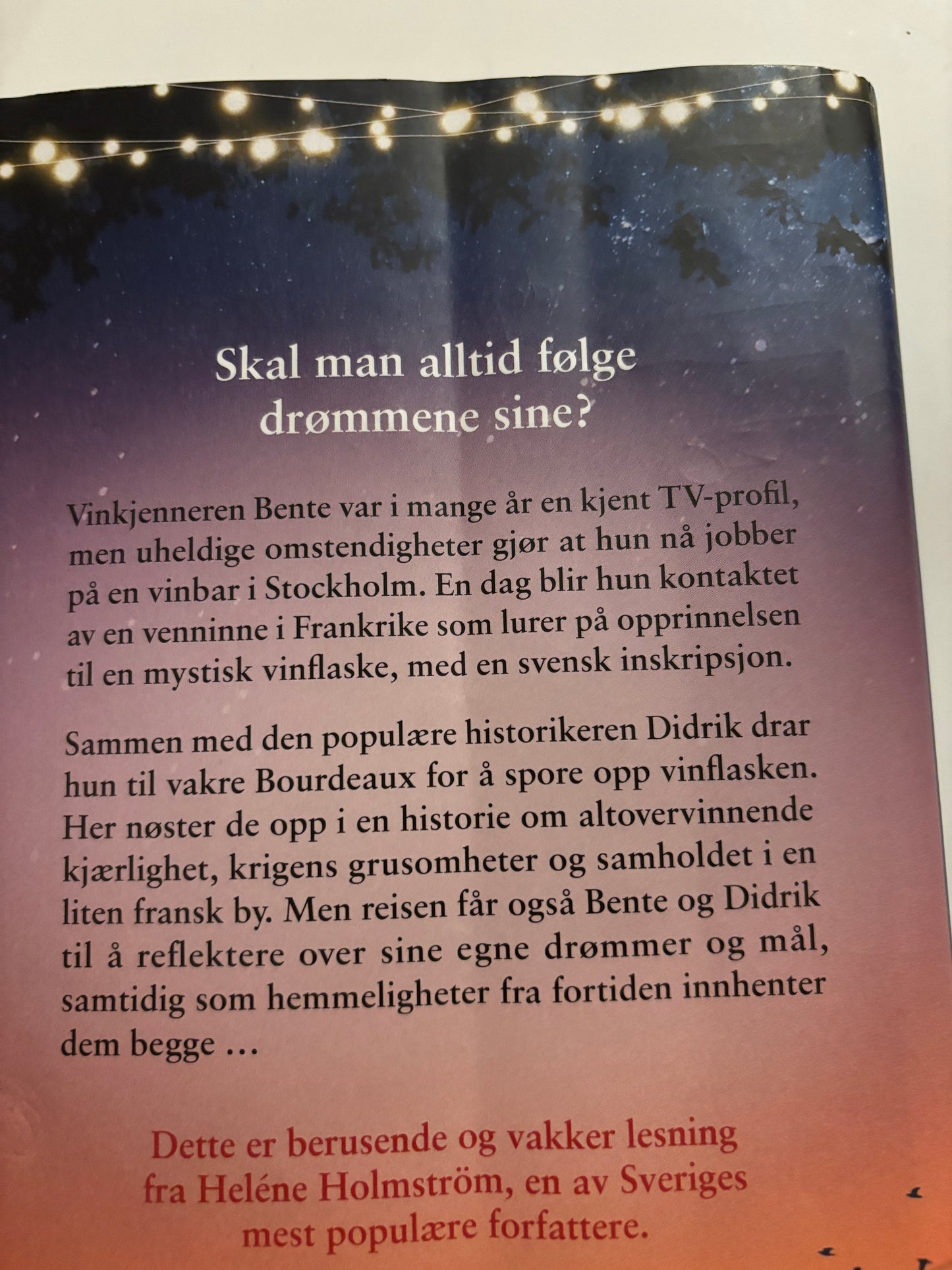 Holmstrøm, Helene: Å danse i mørket