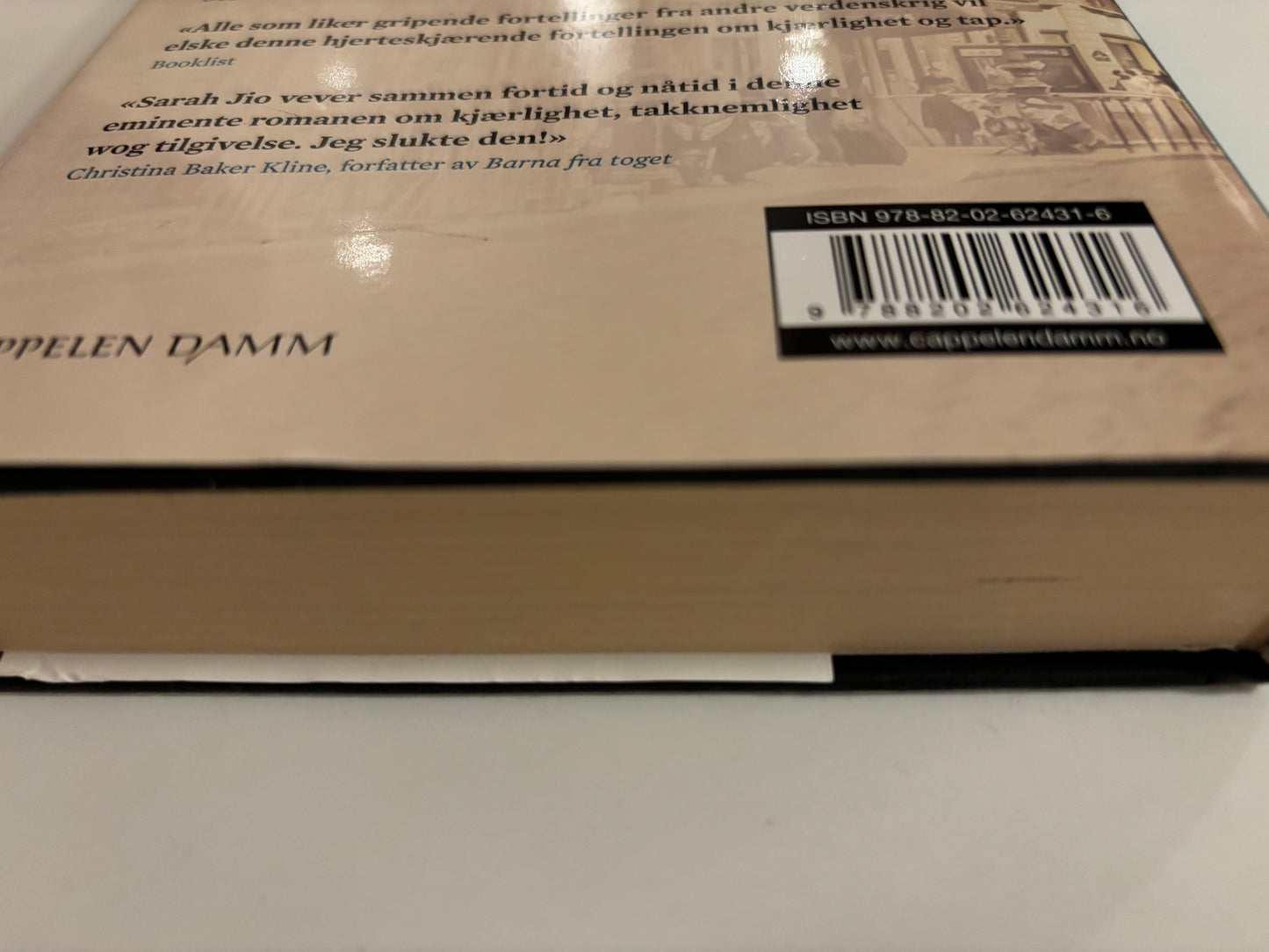 Jio, Sarah: Alle blomstene i Paris