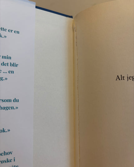 Dillon, Lucy: Alt jeg ønsket meg