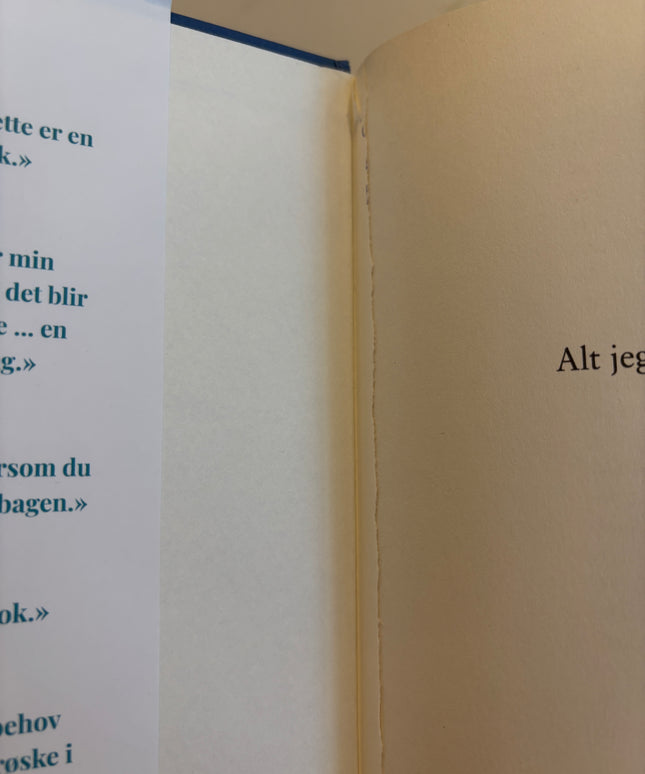 Dillon, Lucy: Alt jeg ønsket meg