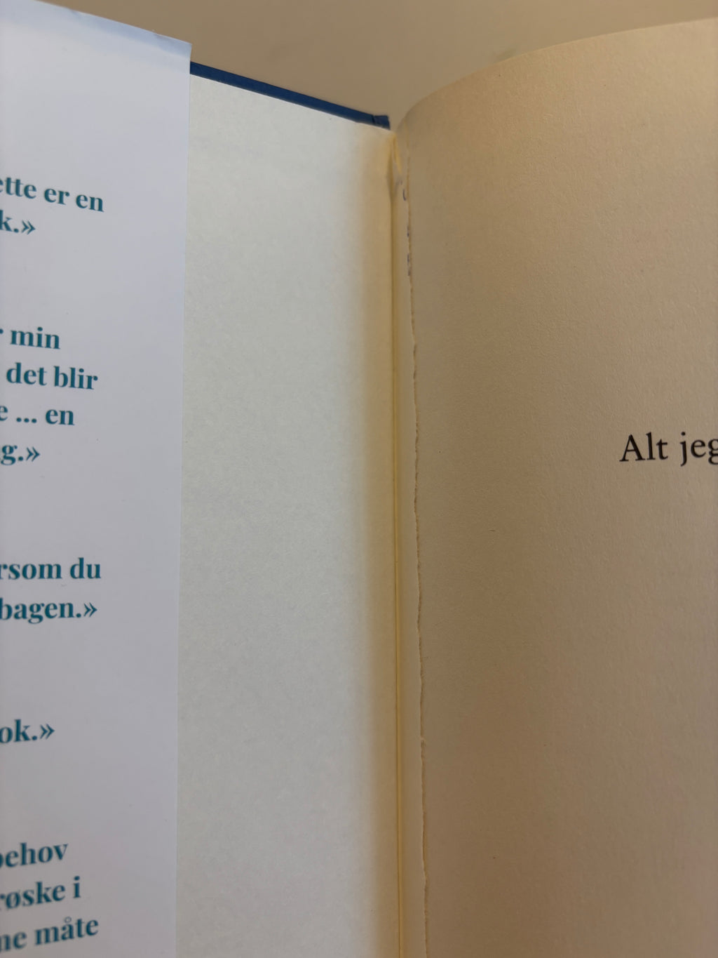 Dillon, Lucy: Alt jeg ønsket meg