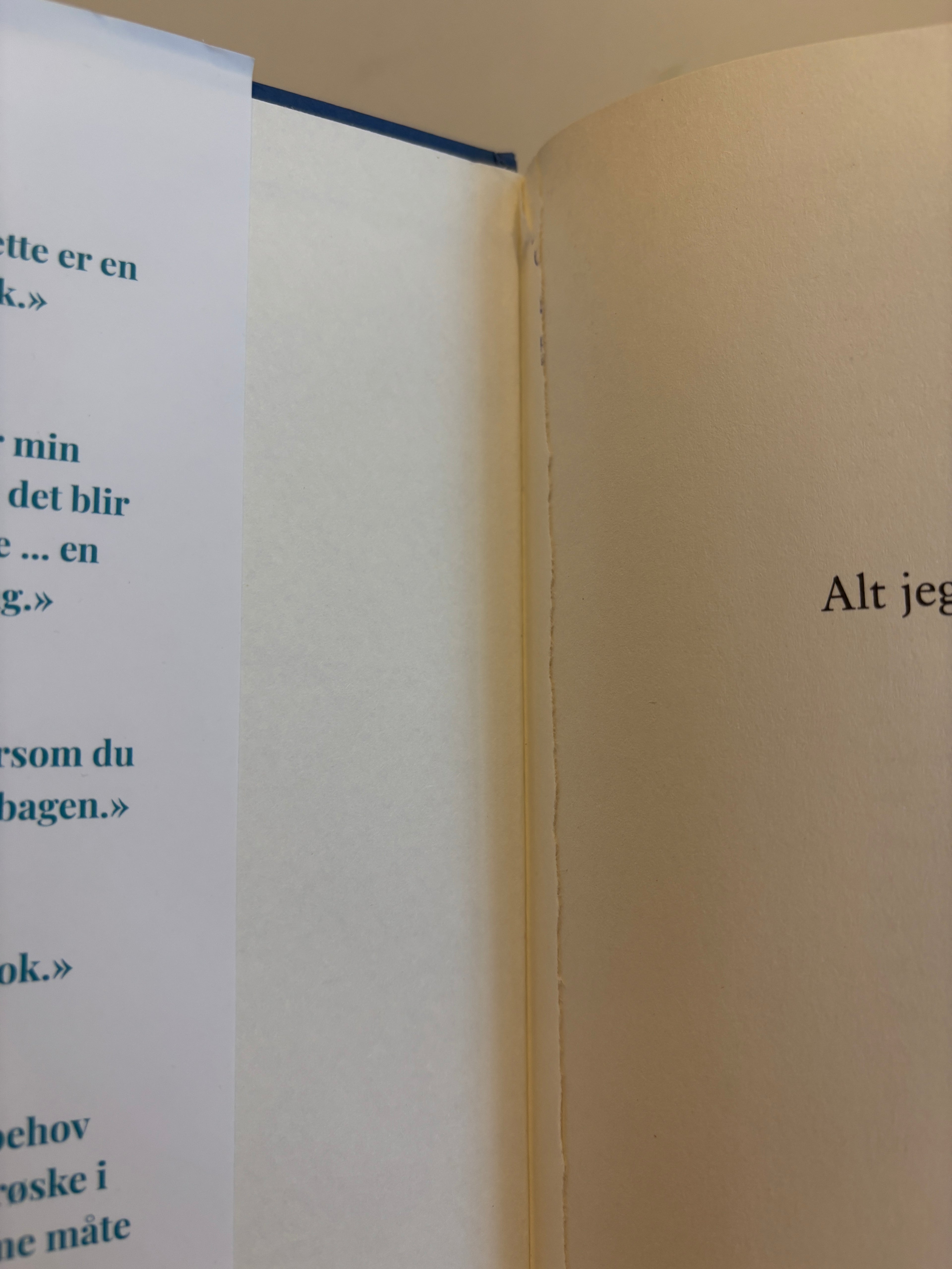 Dillon, Lucy: Alt jeg ønsket meg