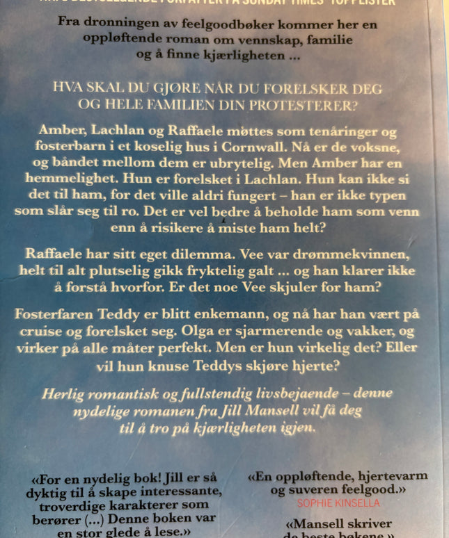 Jill Mansell: Burde jeg si det? (Pocket)