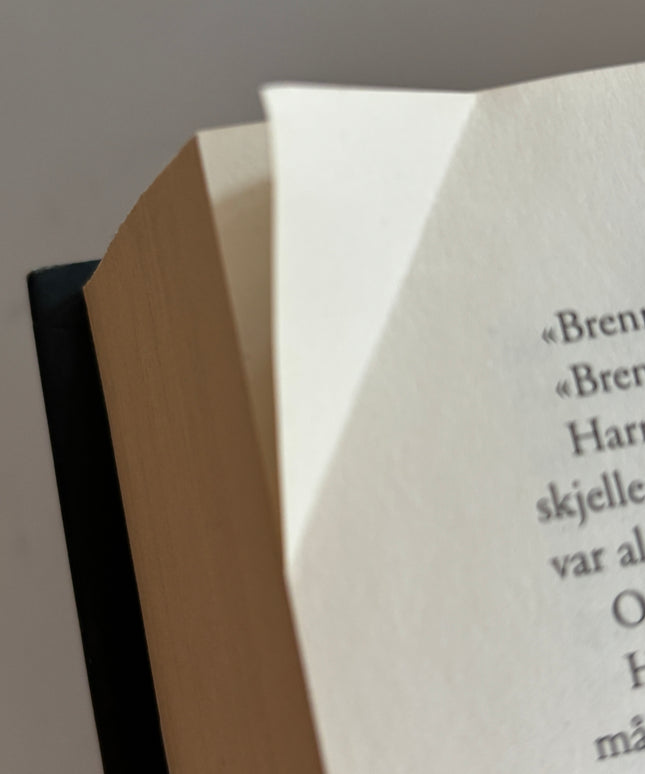 Nesbø, Jo: Politi