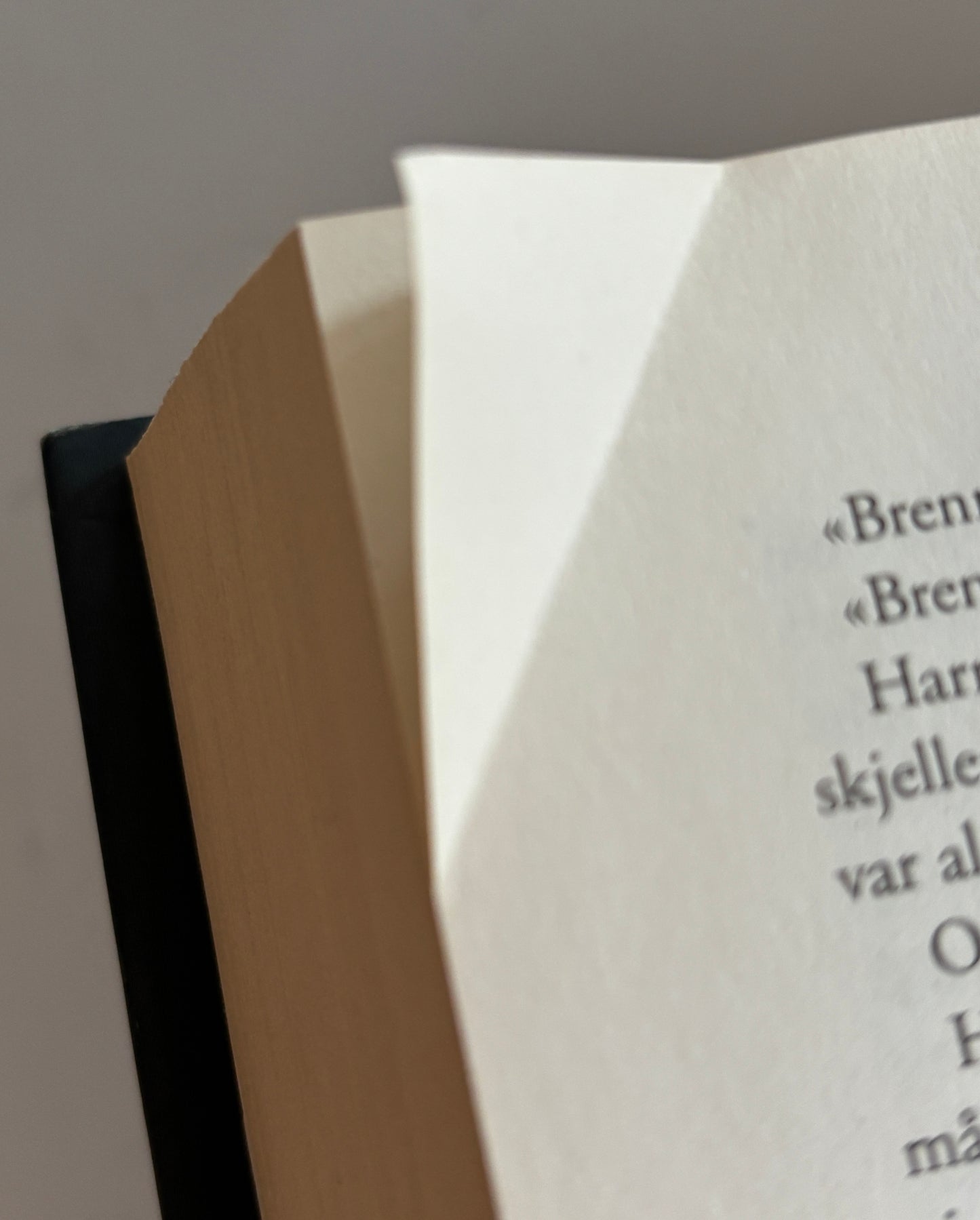 Nesbø, Jo: Politi