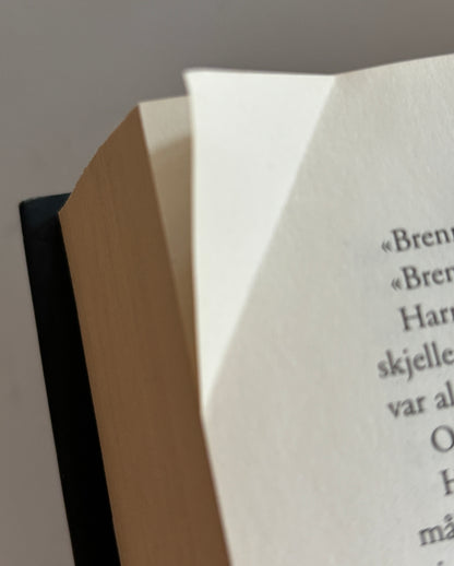 Nesbø, Jo: Politi