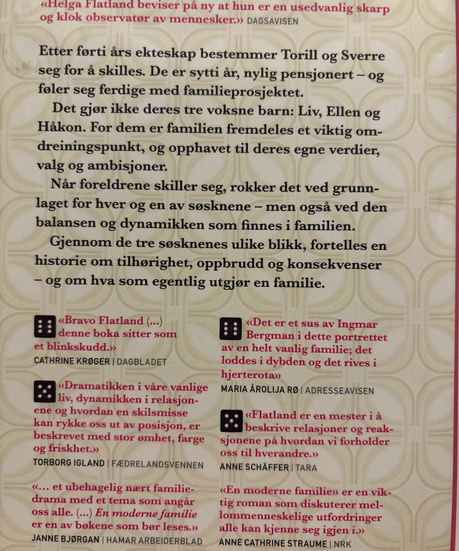 En moderne familie - Helga Flatland (pocket)