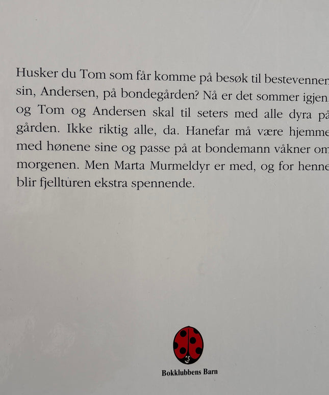 Skjelbred, Margaret: Tom og Andersen drar til fjells