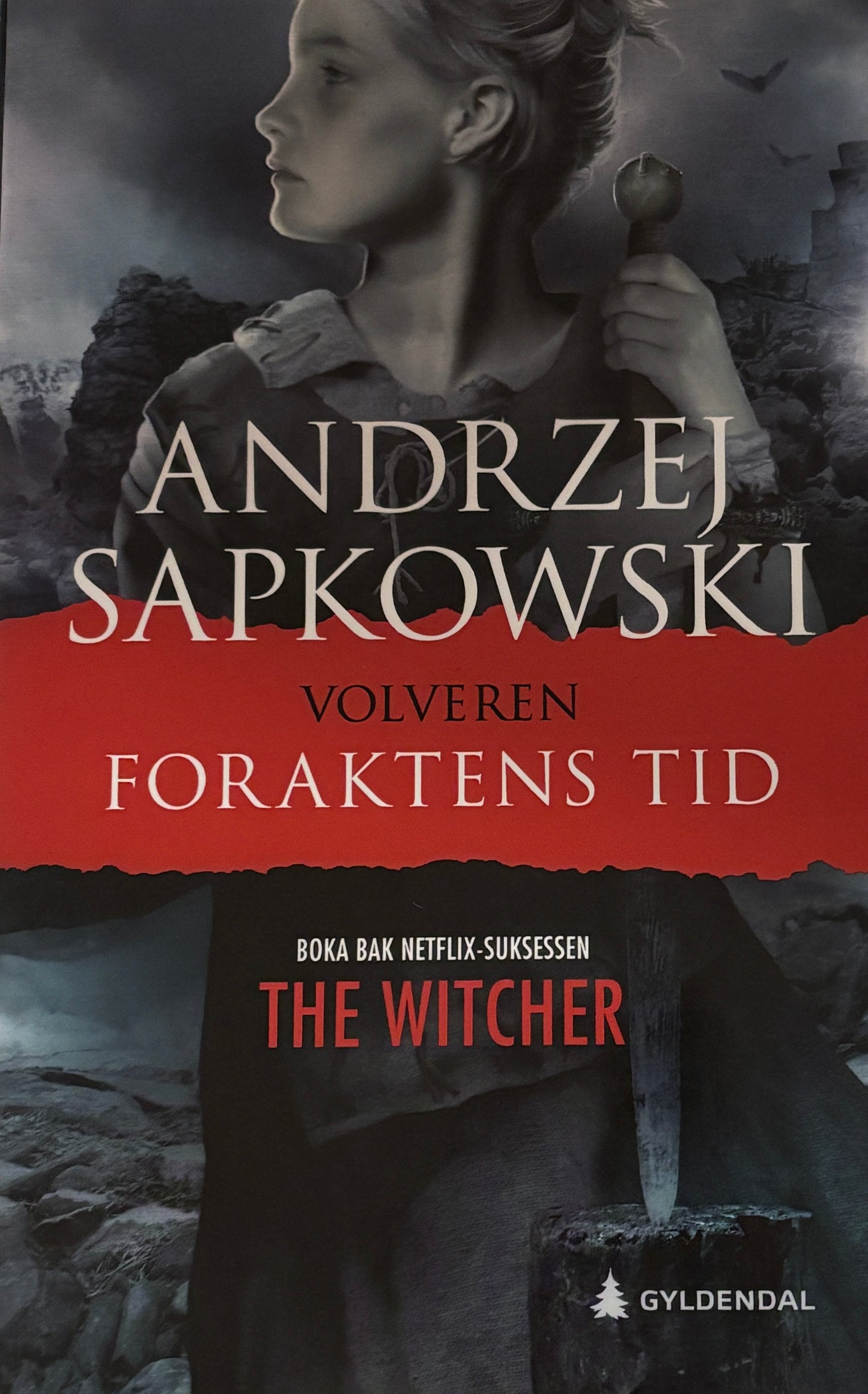 Sapkowski, Andrzej: Volveren - Foraktens tid (The Witcher)