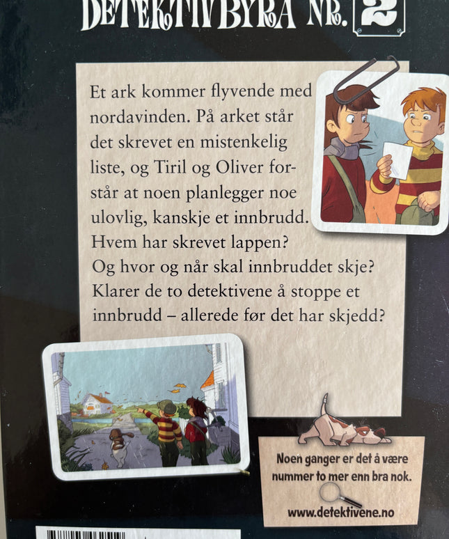 Horst, Jørn Lier: Detektivbyrå nr 2: Operasjon Vindkast
