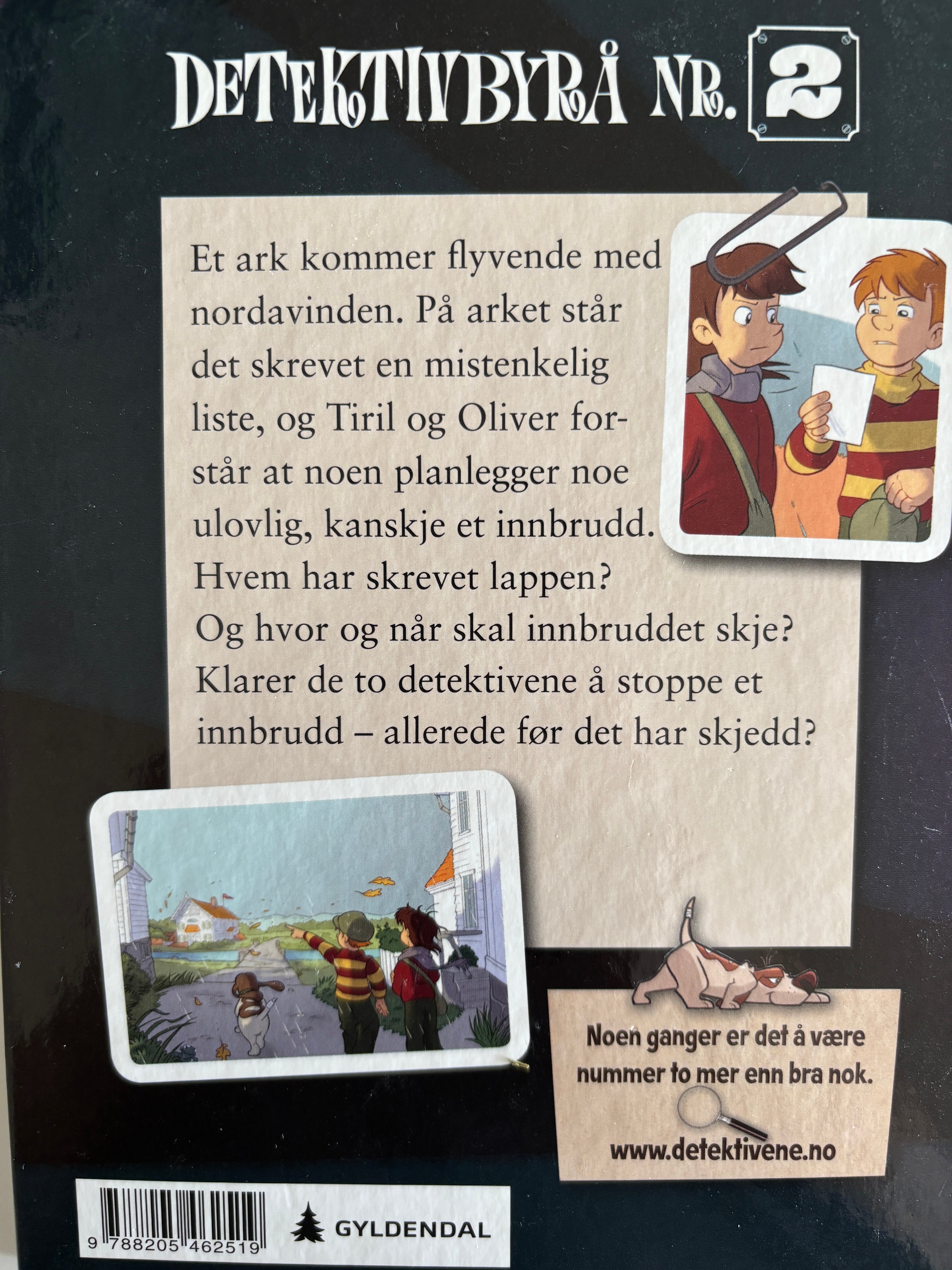 Horst, Jørn Lier: Detektivbyrå nr 2: Operasjon Vindkast