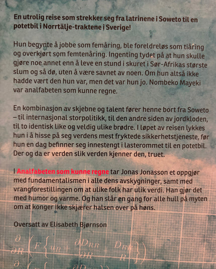 Jonasson, Jonas: Analfabeten som kunne regne
