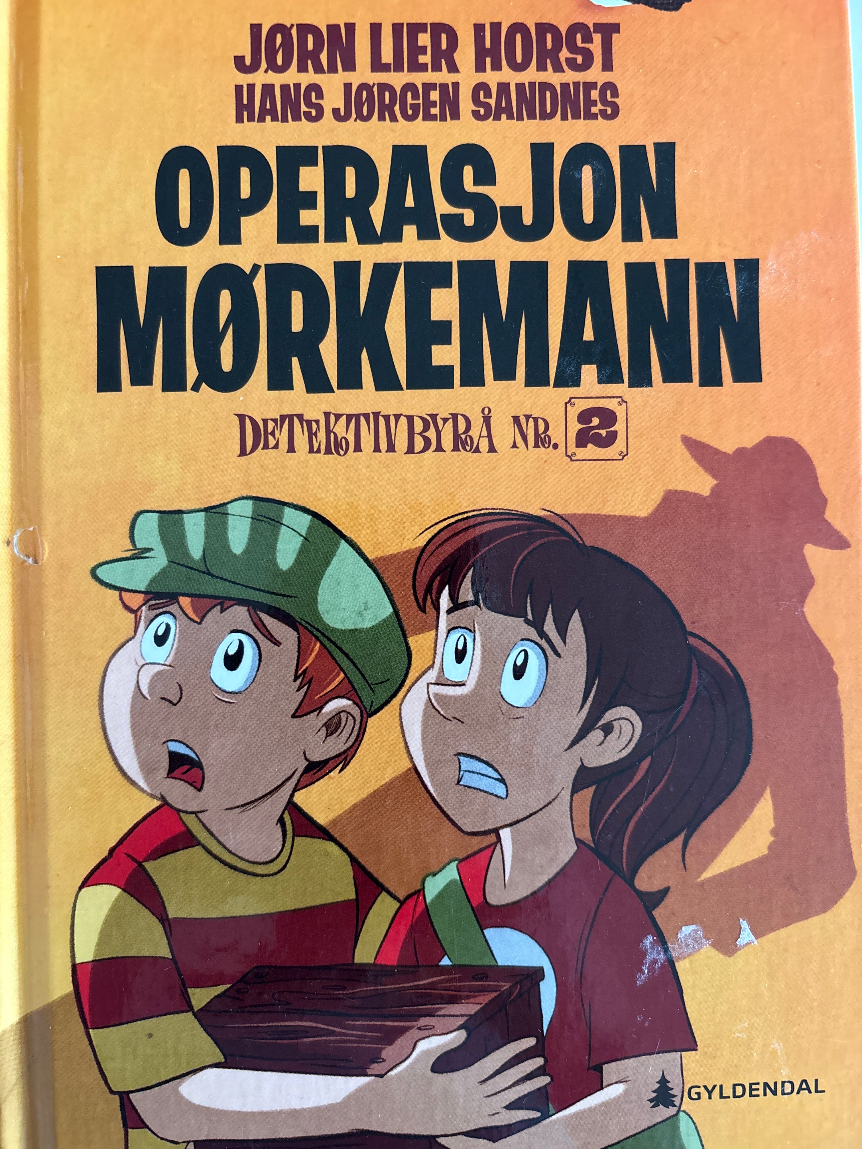 Horst, Jørn Lier: Detektivbyrå nr 2: Operasjon Mørkemann