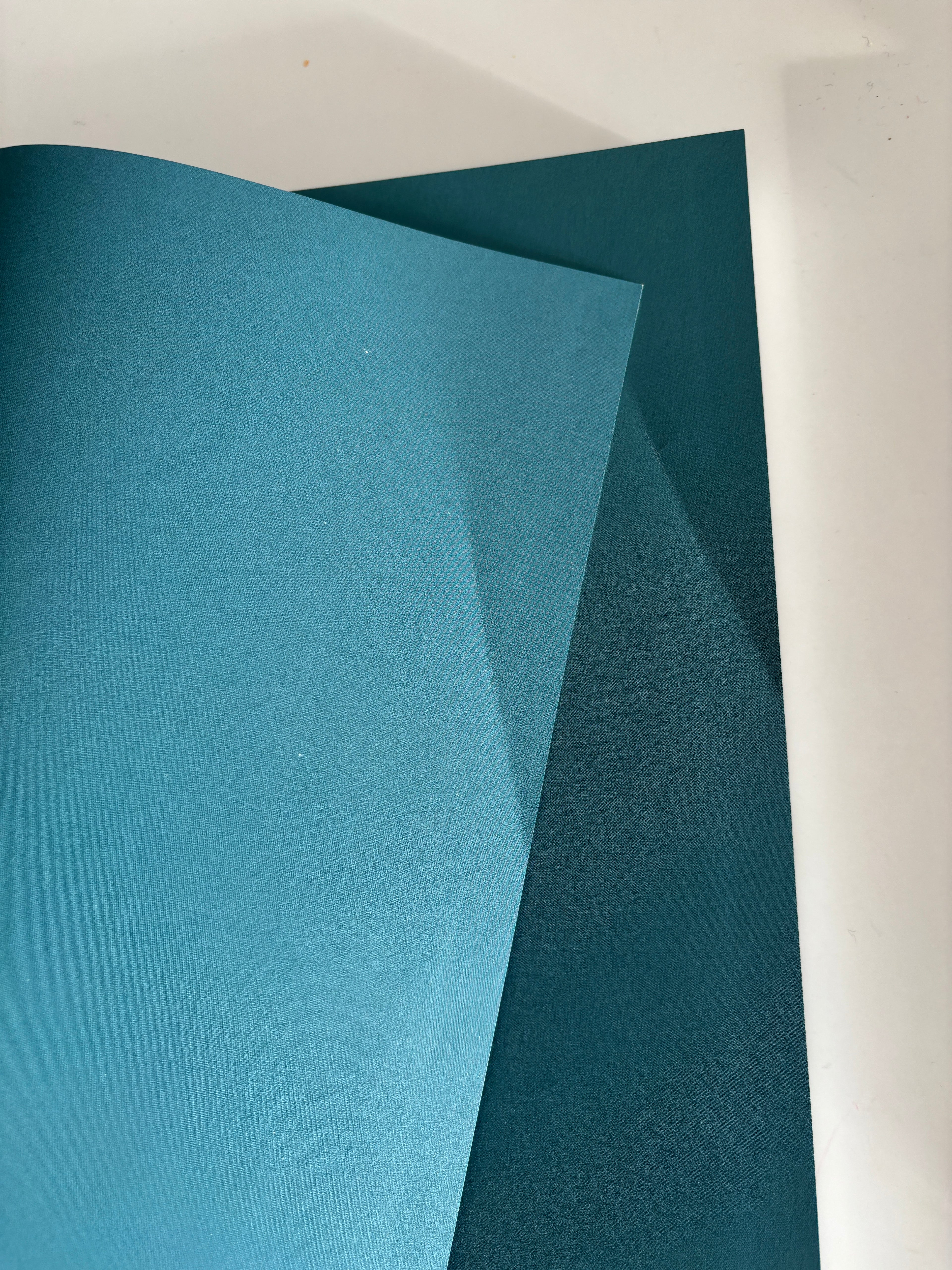 Clarke, James og Daniel: Kariba - Elvens hemmelighet