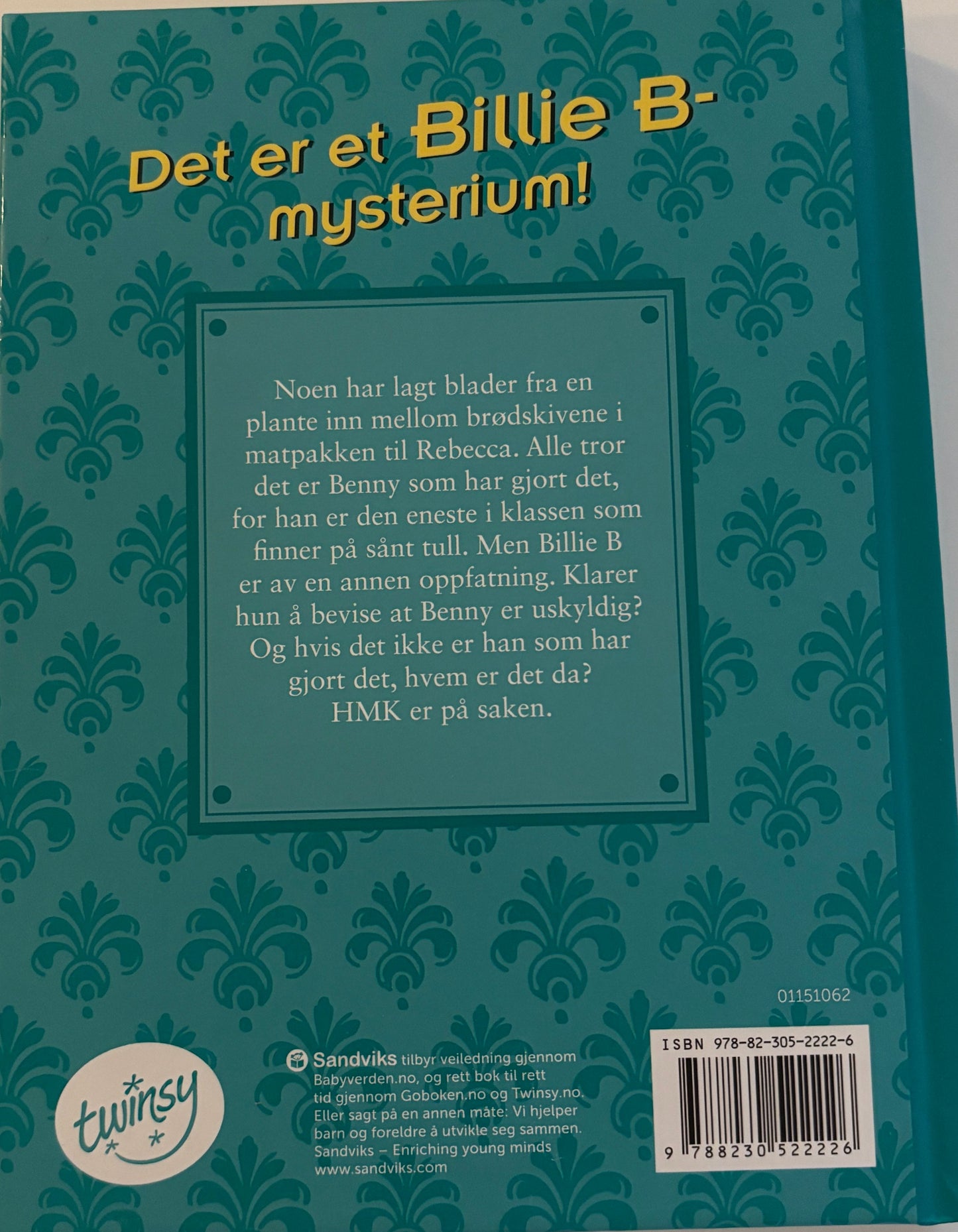 Rippin, Sally: Matpakkemysteriet