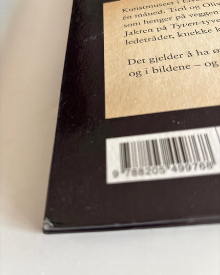 Detektivbyrå nr 2: Jakten på Tyven-Tyven - Jørn Lier Horst