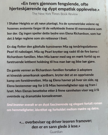 Ng, Celeste: Små branner overalt