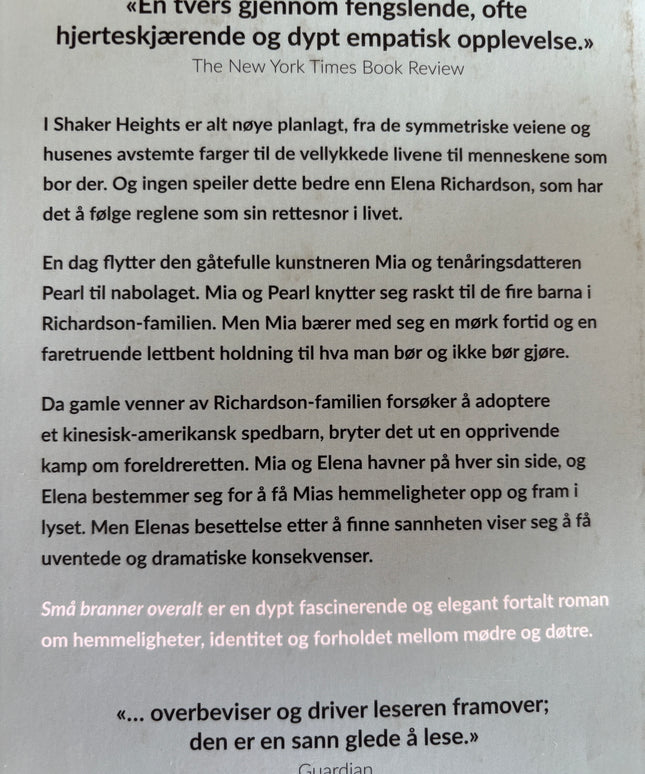Ng, Celeste: Små branner overalt