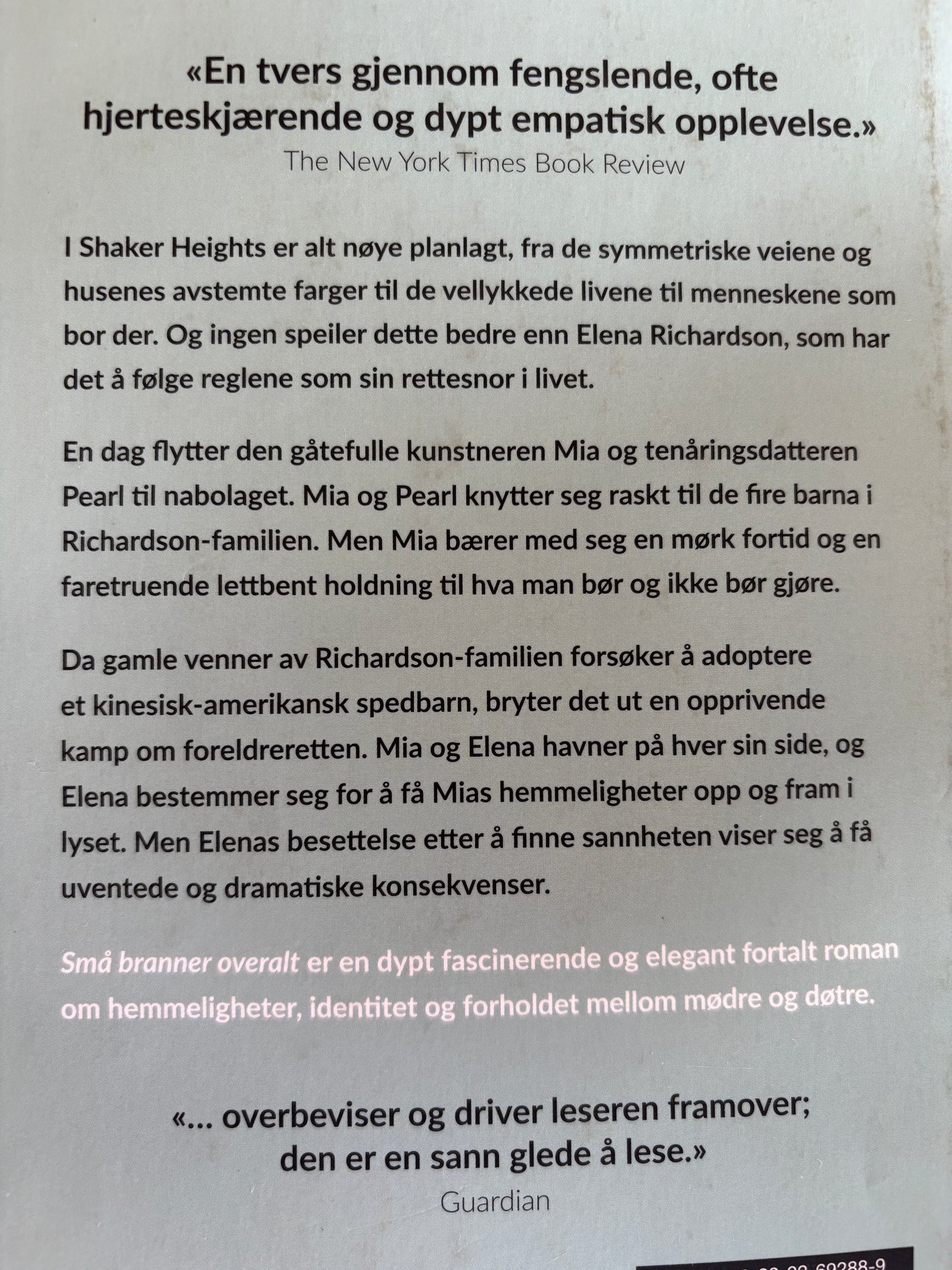 Ng, Celeste: Små branner overalt