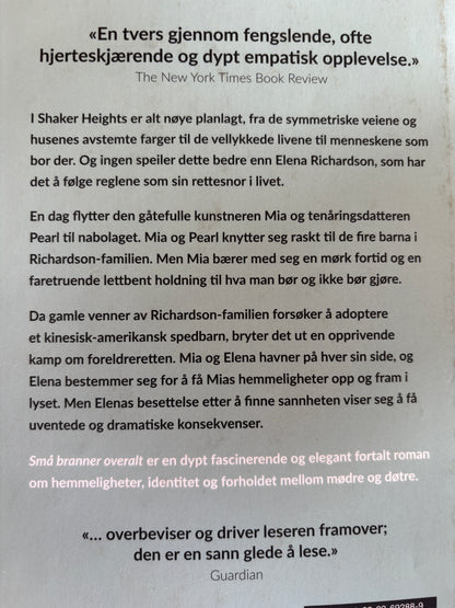 Ng, Celeste: Små branner overalt