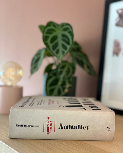 Bjørnstad, Kjetil: Åttitallet