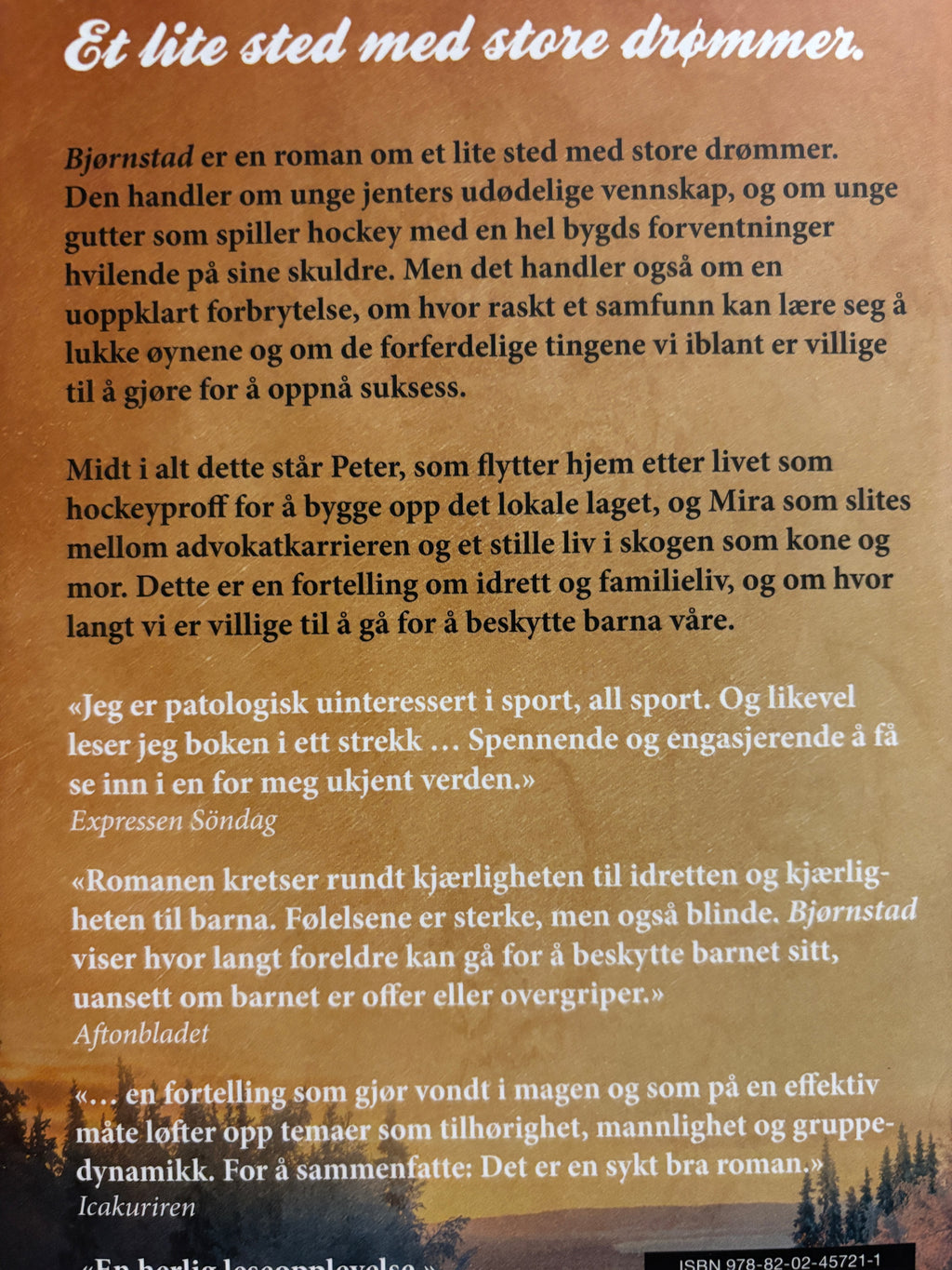 Backman, Fredrik: Bjørnstad