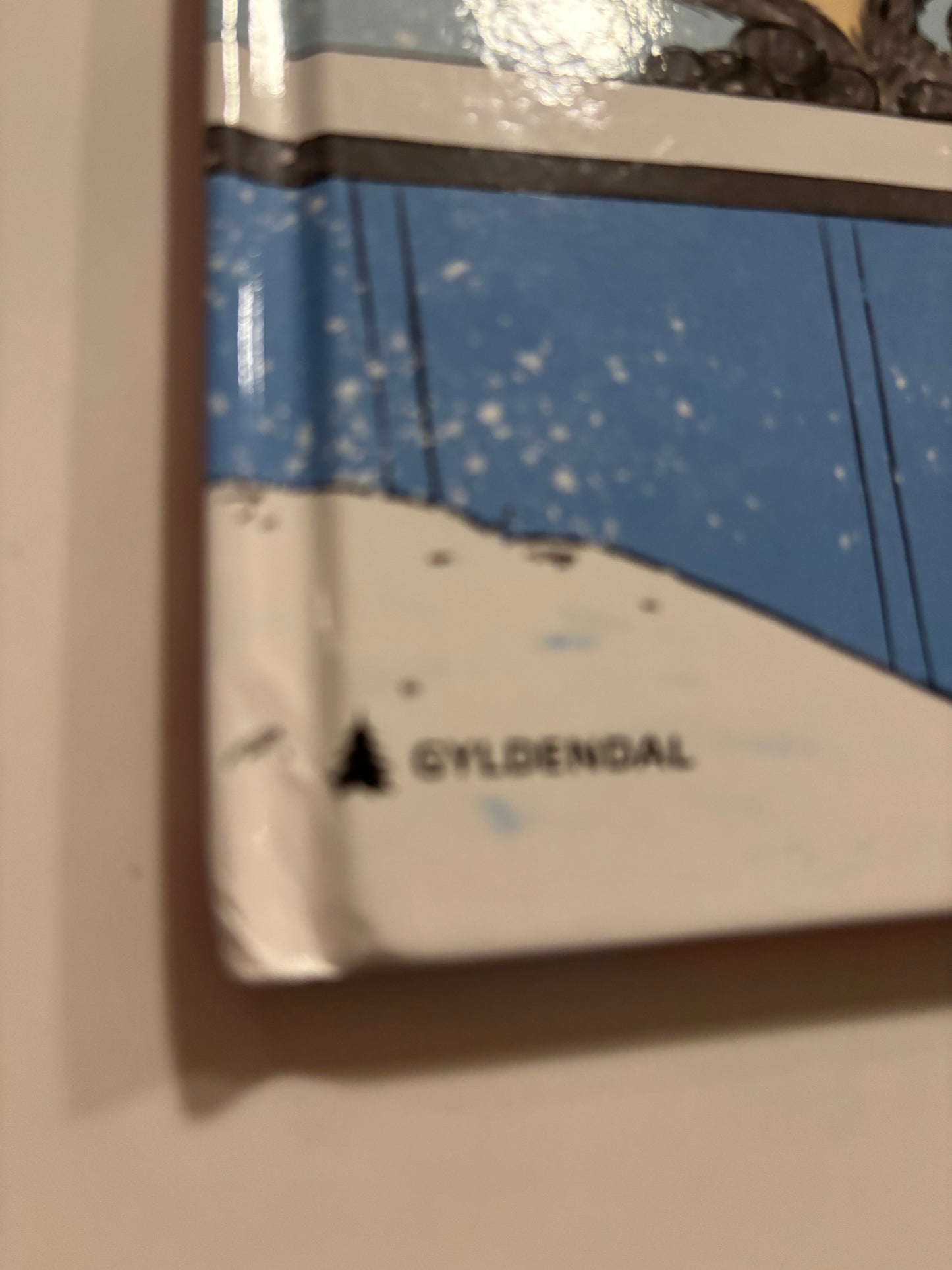 Jackson, Ida: Brillebjørn blir henta i barnehagen