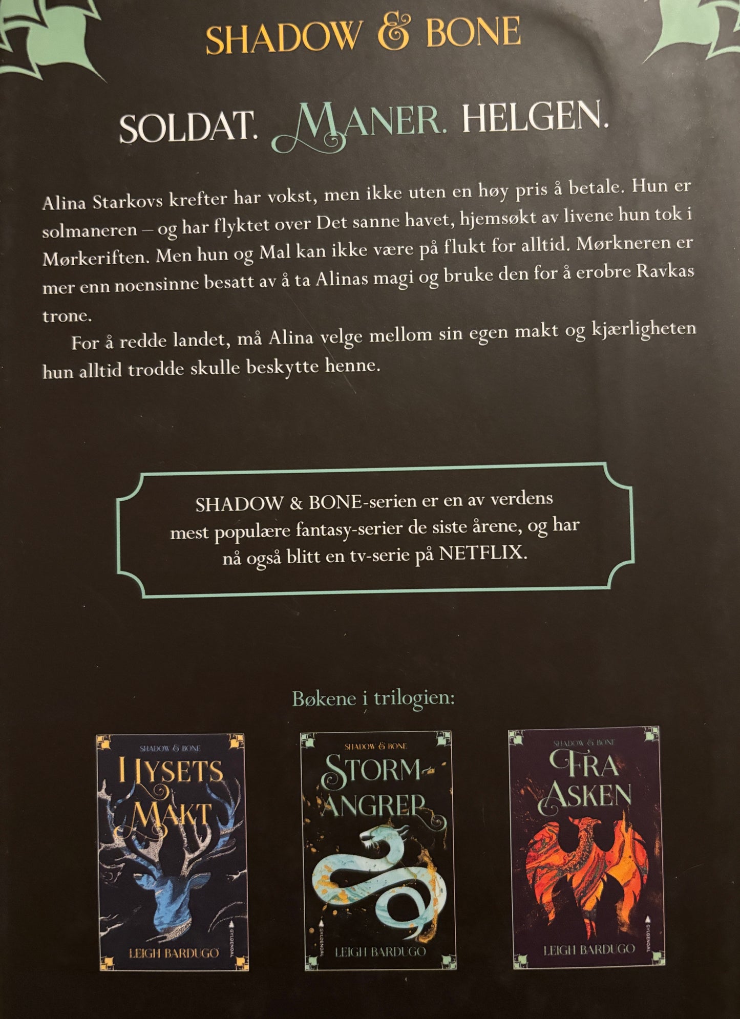 Bardugo, Leigh: Stormangrep - Shadow and bone