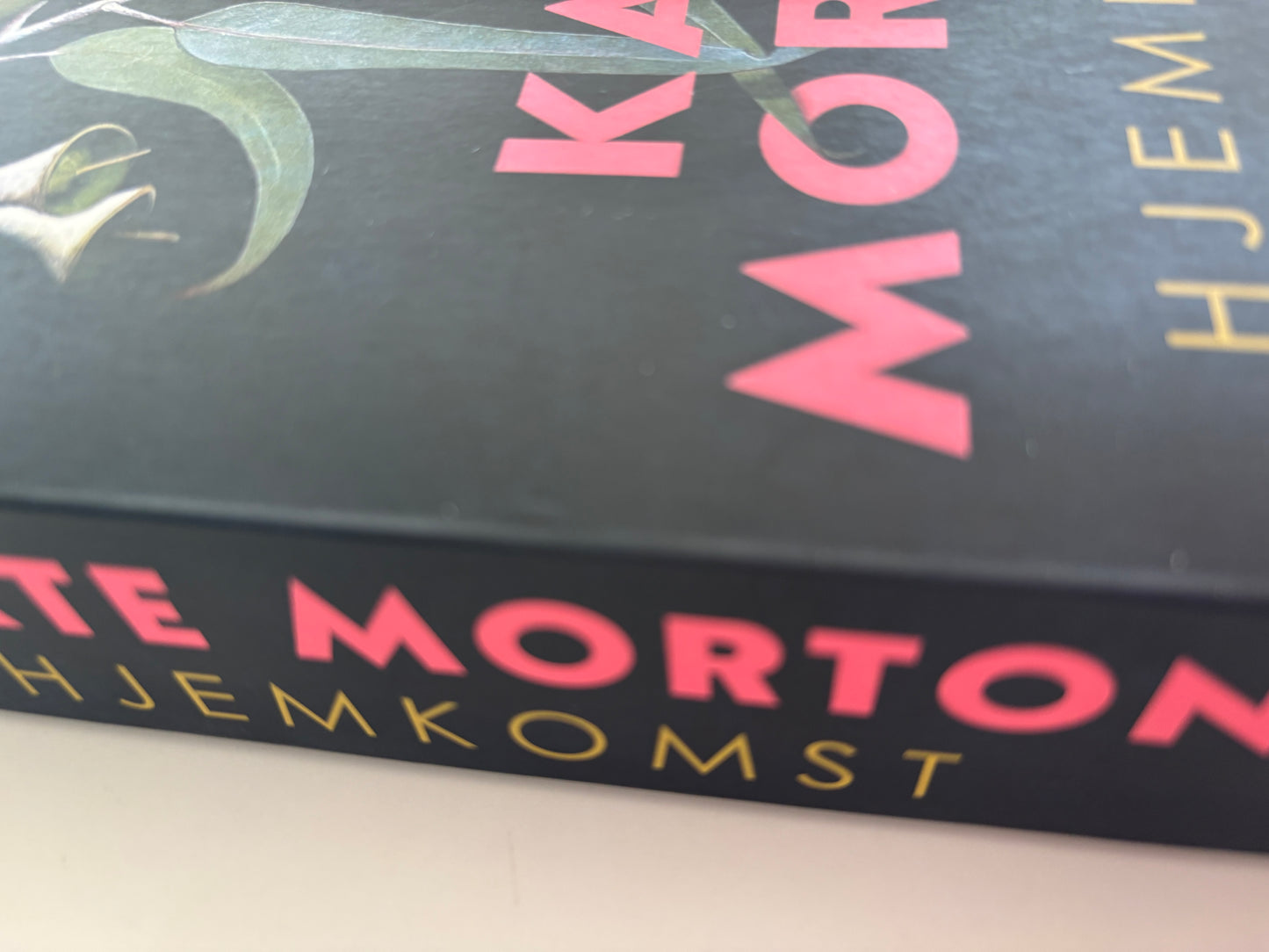 Morton, Kate: Hjemkomst