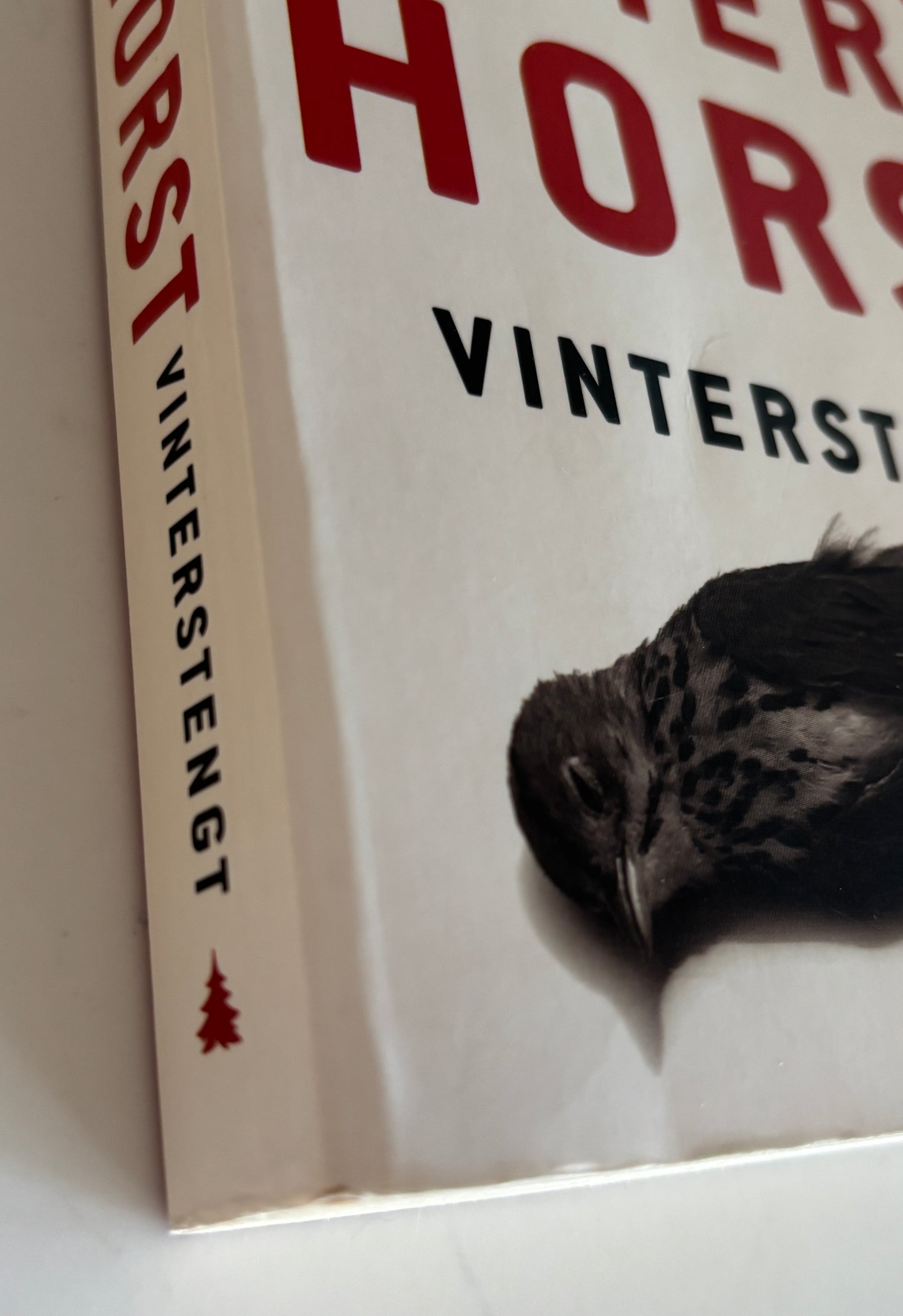 Lier Horst, Jørn: Vinterstengt
