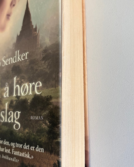 Sendker, Jan-Philipp: Kunsten å høre hjerteslag