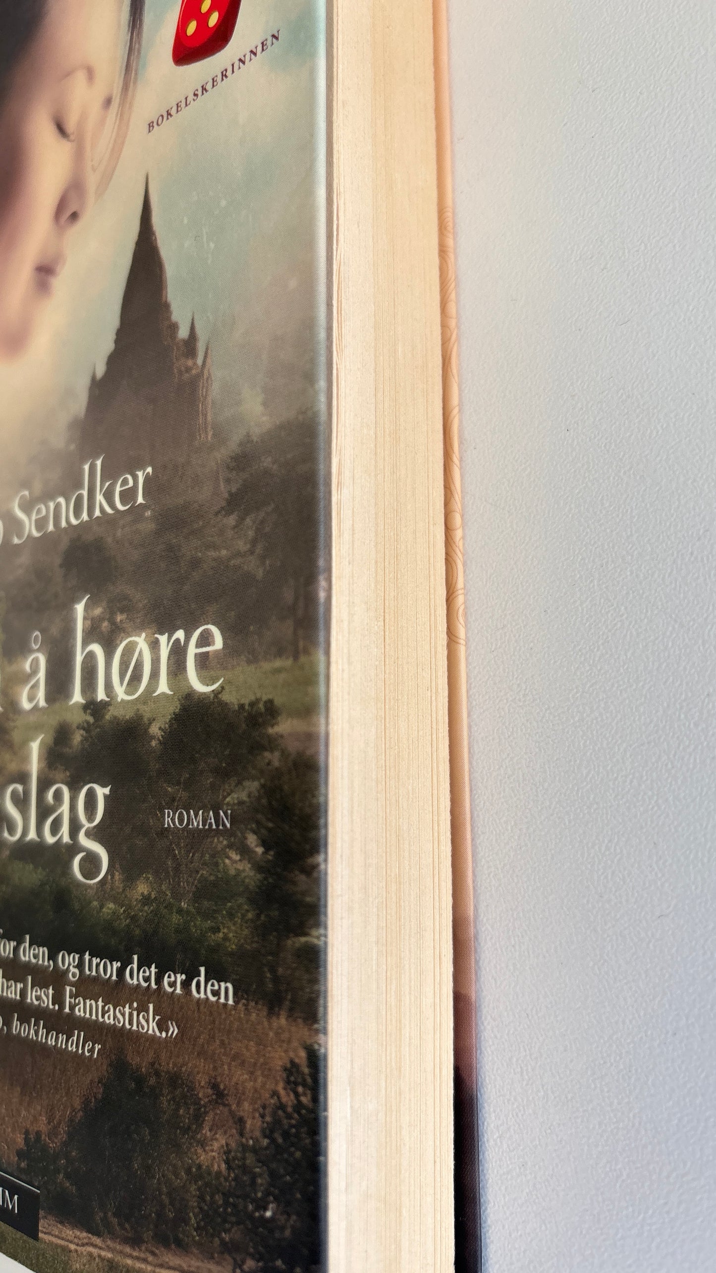 Sendker, Jan-Philipp: Kunsten å høre hjerteslag