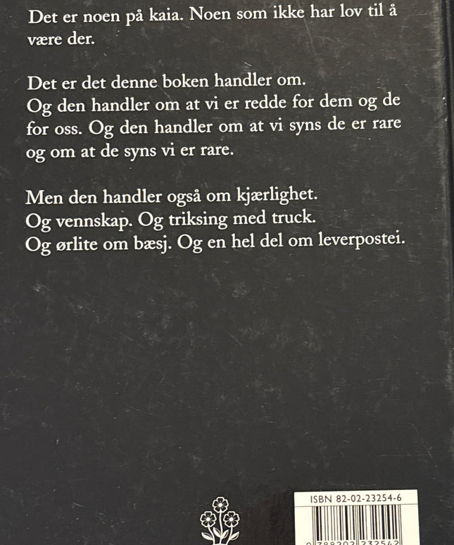 Loe, Erlend: Kurt koker hodet