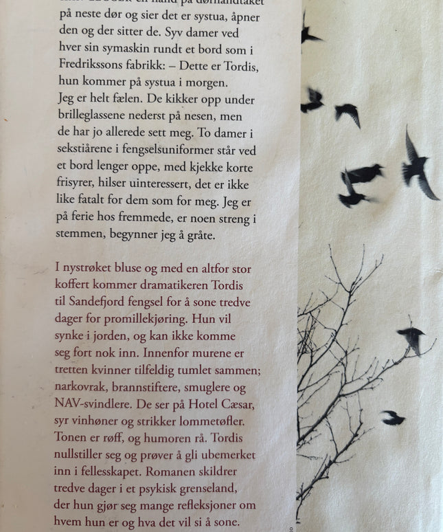 Tredve dager i Sandefjord - Vigdis Hjorth