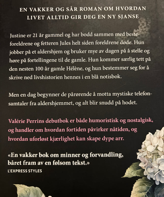 Perrin, Valerie: Glemt på en søndag