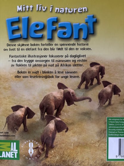 Animal planet - Mitt liv i naturen: Elefant
