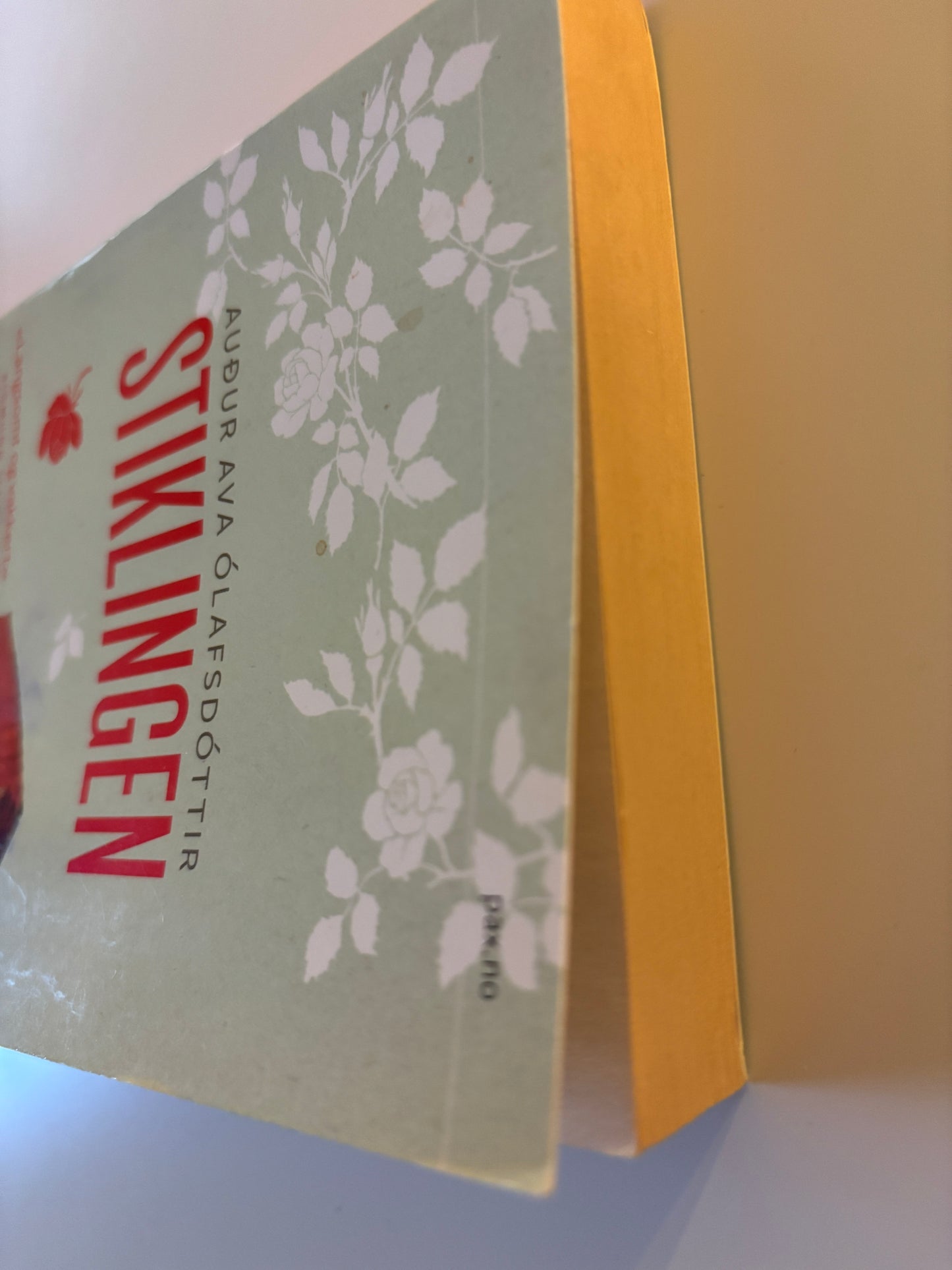 Olafsdottir, Audur Ava: Stiklingen