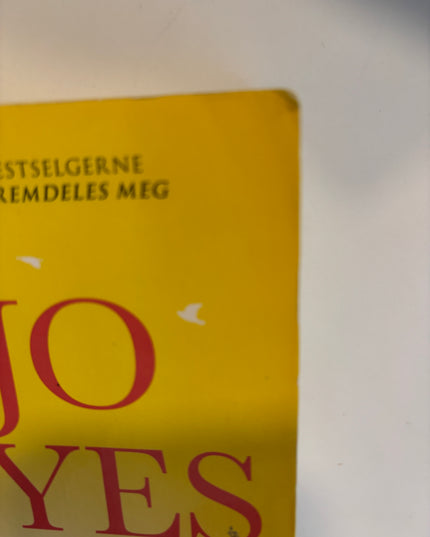 Moyes, Jojo: Jenta som ble igjen
