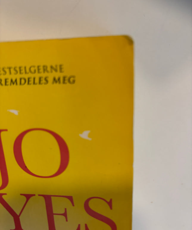 Moyes, Jojo: Jenta som ble igjen